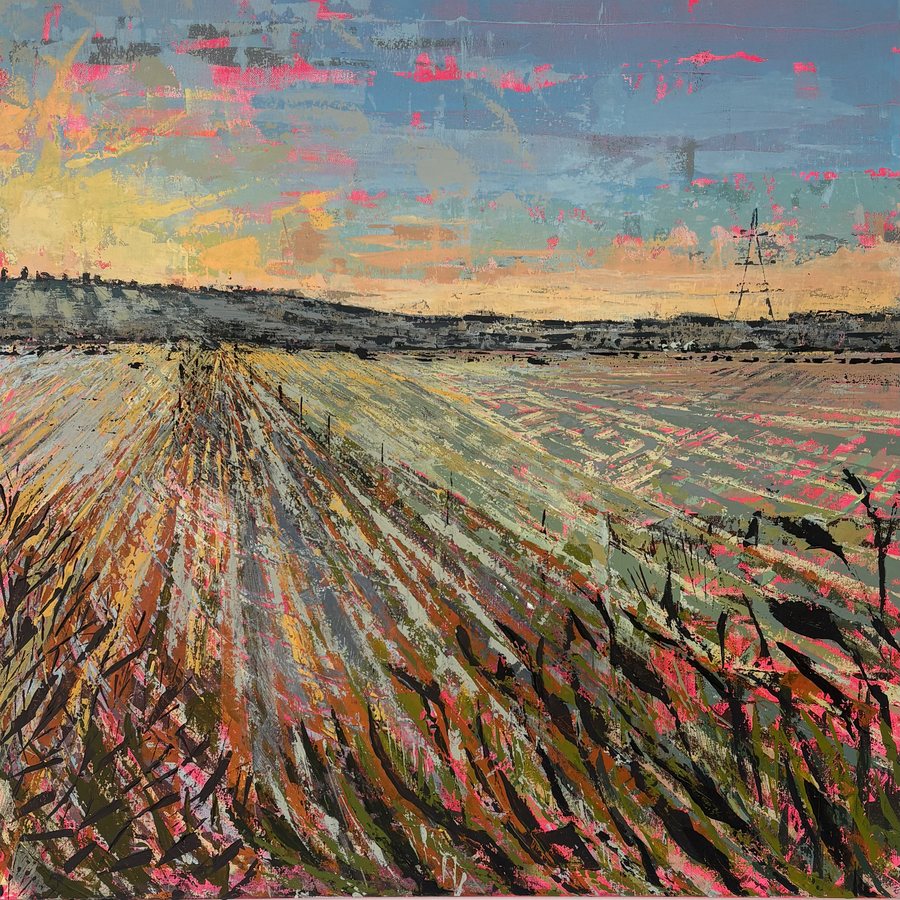 Winter Light — framed acrylic by Erica Fairhurst, a ploughed field in pink, gold and dark green stripes running to a low horizon under a streaked sky